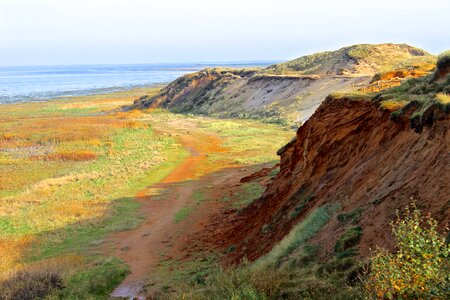 North sea dunes sylt photo