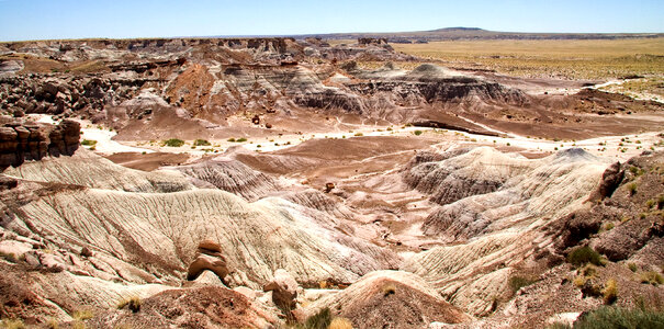 Overlook landscape at the Petrified Forest photo