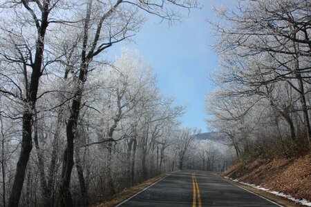 shenandoah skyline drive winter photo