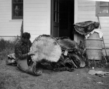 Agent Bragg and beaver pelts photo
