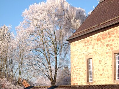 Church tree sky photo