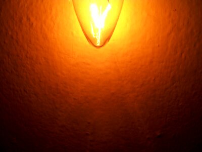 Bulb lighting orange photo