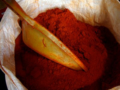 Spicy spices foods photo
