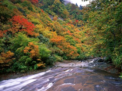Autumn landscape. Composition of nature. River into canyon. photo