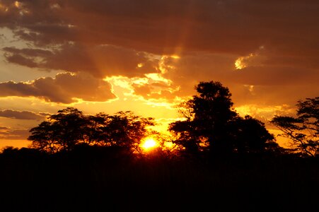 Africa botswana okavango photo