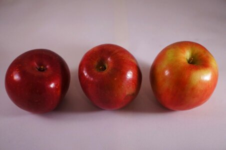 Fruit antioxidant apple