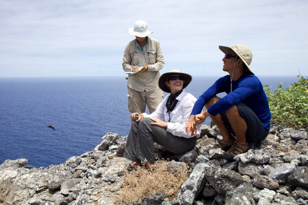 Nihoa Millerbird Translocation-1