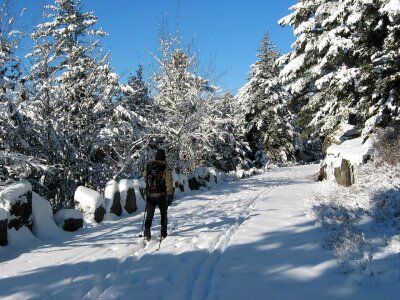 Cross-Country Skiing Acadia National Park photo