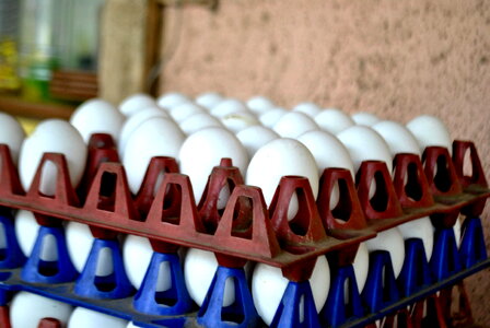 Egg Crate photo