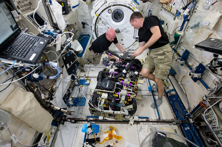 Astronauts at Work on the International Space Station photo