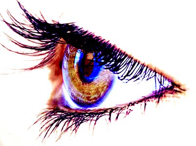 Eyelid eyelashes iris photo