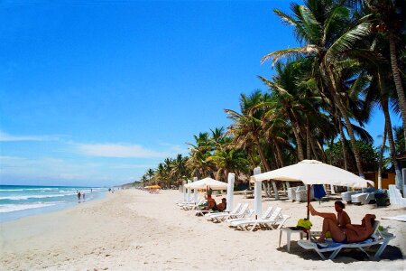 Beach of island Venezuela photo