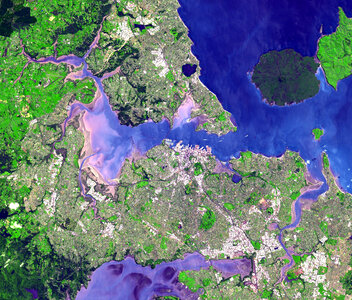 Satellite view of the Auckland isthmus and Waitemata Harbour, New Zealand photo