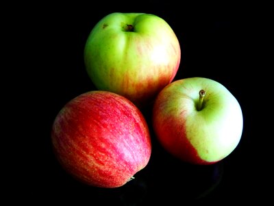 Agriculture apple apples