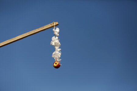 Apple stick hanging