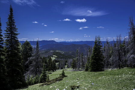 Mountainside Landscape in the Elkhorn Mountains