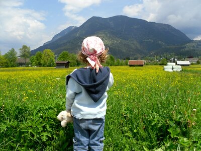 Alpine alone field