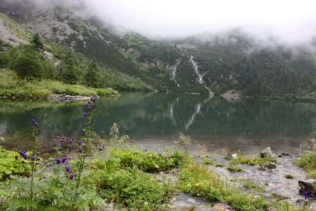 spring morning, a mist on the lake photo