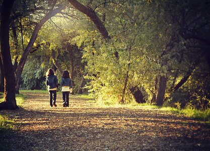 Strolling path best friends photo