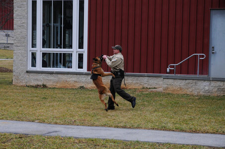 K-9 officer demonstrating his partners ability to take command