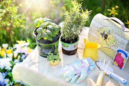 Summer gardening garden tools