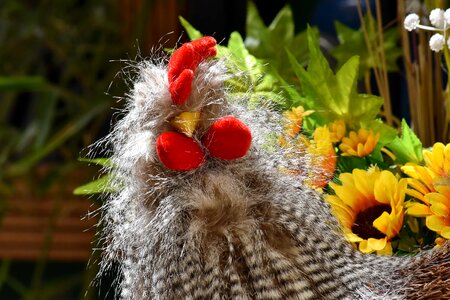 Art bird craft