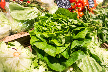 Fresh green lettuce in a grocery store photo