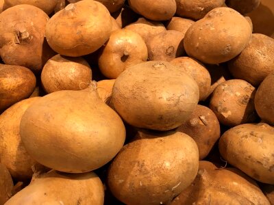 Potato potatoes sweet potato photo