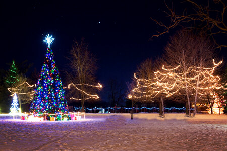 Neon Christmas Tree and Lights and Decorations photo