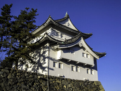 Looking at Nagoya Castle, Japan