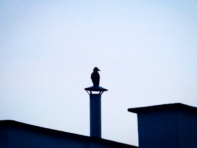 Chimney blokowisko the silhouette