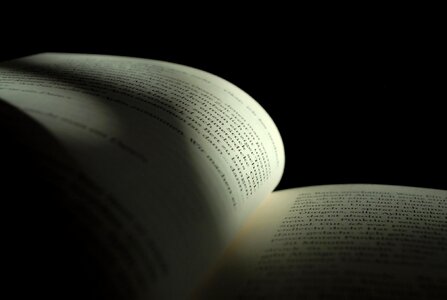 Page text read