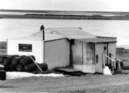 Arctic black and white historic