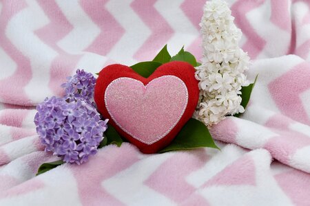 Affection beautiful flowers heart