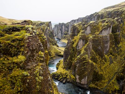 Green Tops photo