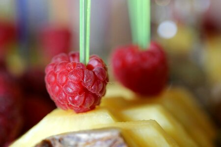 Cake raspberries berry photo