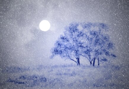 Moon snowfall snow flurry photo