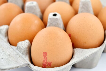 Close-Up egg egg box photo