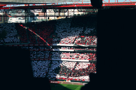 12 Benfica photo