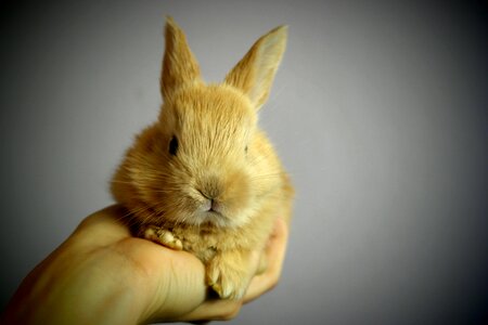 Holding small palm