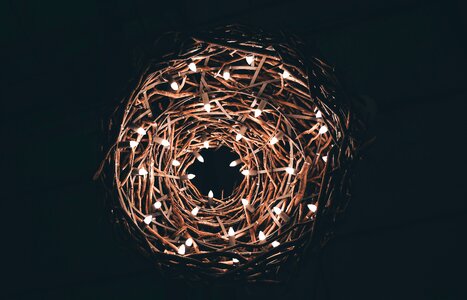 Nest With String Lights
