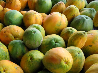 fresh organic ripe papayas at a farmer's market photo