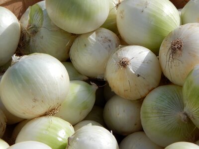 Healthy organic fresh