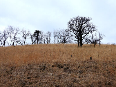Looking upward at the hill