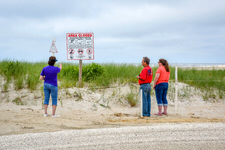 Visitors at shorebird nesting area sign photo