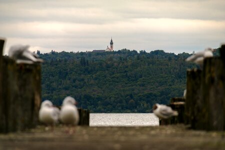 Monastery andechs monastery ammersee