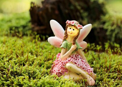 Beautiful Photo blossom fairy