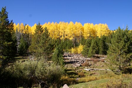 Landscape fall autumn photo