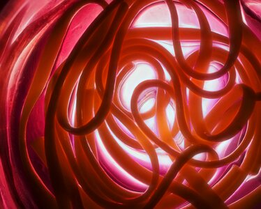 Creative digital pattern