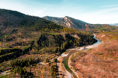 Flathead National Forest in Montana